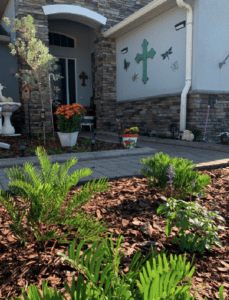 Central Florida Landscaping